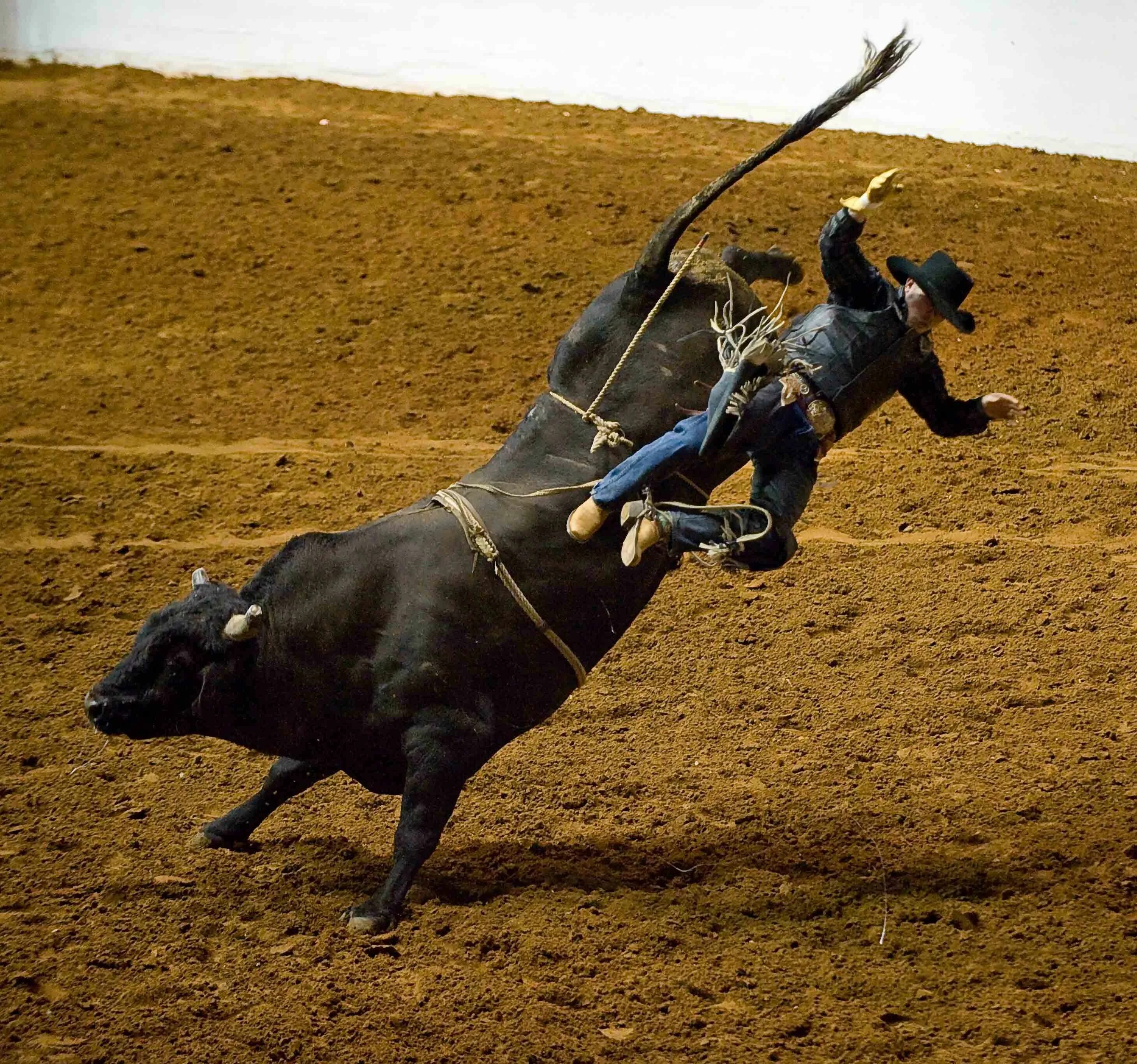 Rodeo speed