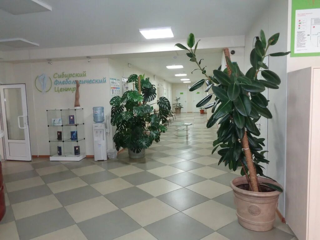 врач мустафаев назим новосибирск. флебологический центр федосеева 24/1. сибирский флебологический центр. мустафаев назим расимович. флебологический центр в новосибирске на федосеева.