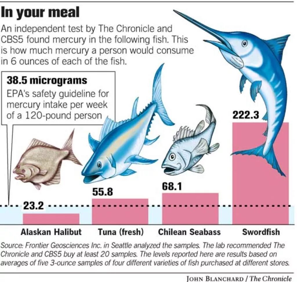 Тунец ртуть. Содержание ртути в рыбе. Ртуть в рыбе. Рыба с высоким содержанием ртути. Содержание ртути в рыбе таблица.
