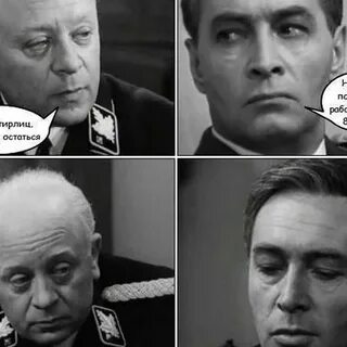 Алекс юстасу