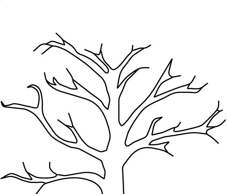 Empty branch