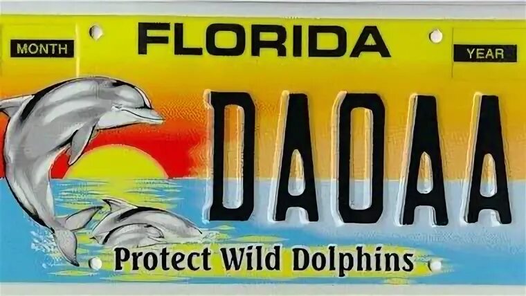 Protect the wild