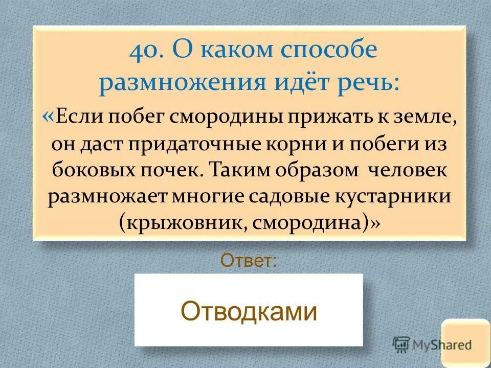 О сохранении и размножении народа. Почему люди размножаются. Жители не размножаются. Почему жители не плодятся. Один человек размножился.