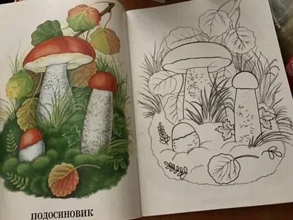 Как нарисовать гриб подосиновик