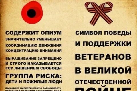 Что символизирует мак