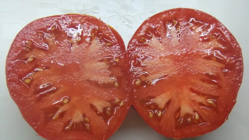 Сорт томатов на конце выпуклые. Название томата пупырышками. Как называется томат без внутренней части. Томат сюрприз урожайность