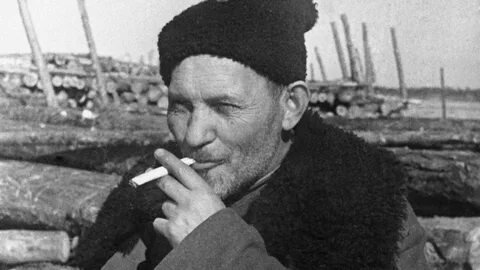 Ковпак партизан биография