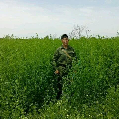 Реан якунин модификация бадмаевой