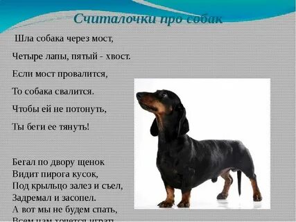 Какая кличка у собаки герасима