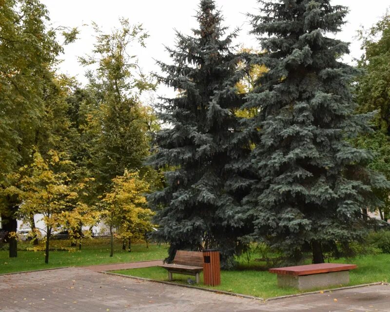 С. Парк красный партизан. Парк на красных партизан краснодар. Парк в краснодаре по улице красной. Парк красный партизан.