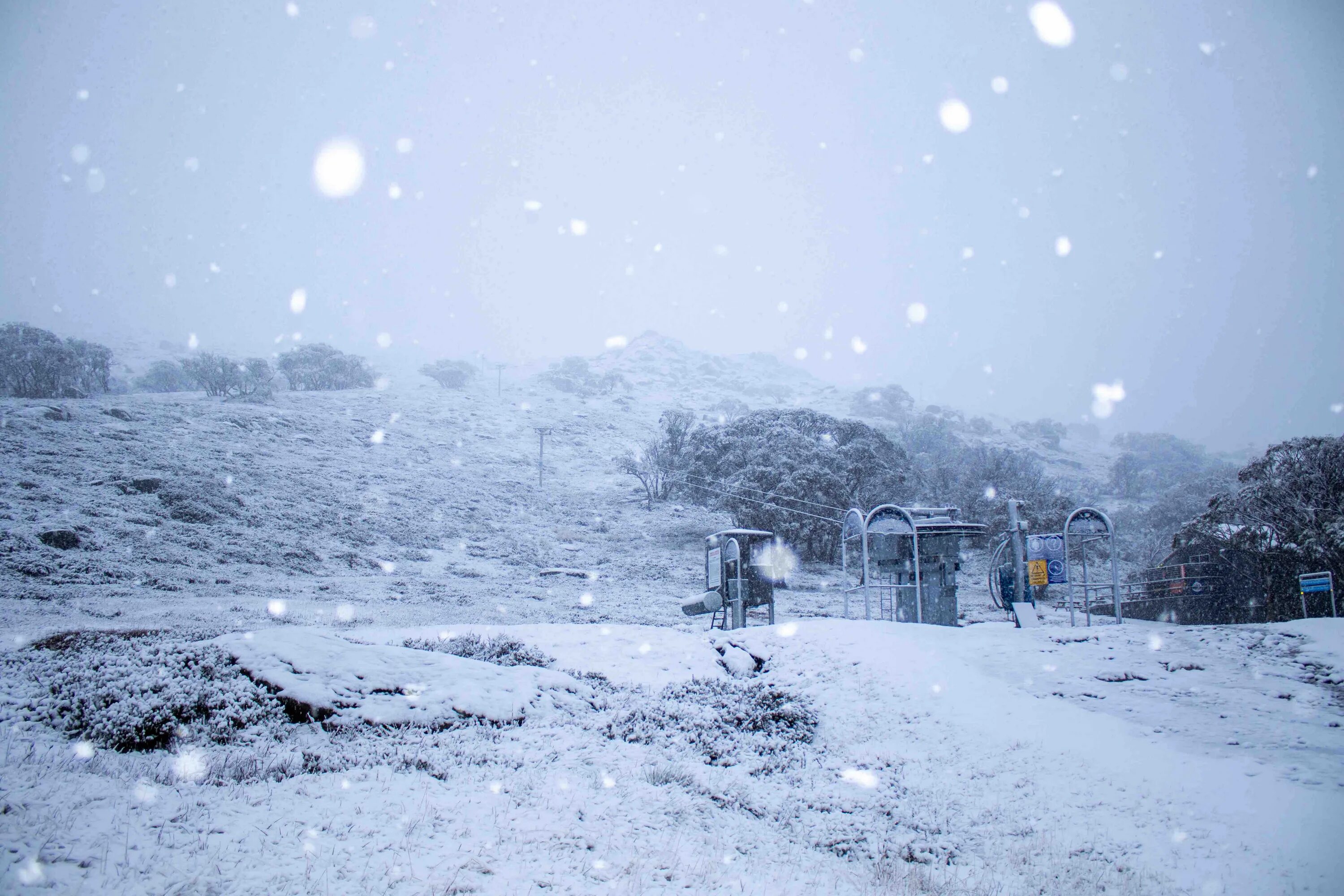 Snow weather for kids. Прогулка с собакой зимой. Снег в амстердаме. Started snowing. Люди снежная погода фото из жизни.