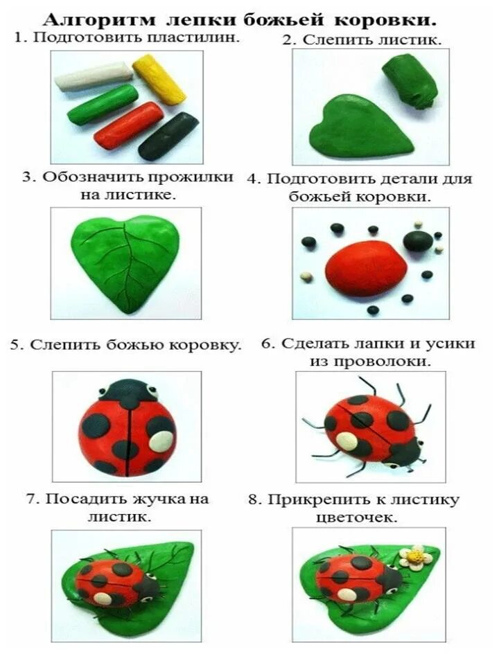 Лепка божья коровка. Лепка из пластилина Божья коровка. Лепим Божью коровку из пластилина. Алгоритм лепки Божьей коровки. Как слепить Божью коровку.