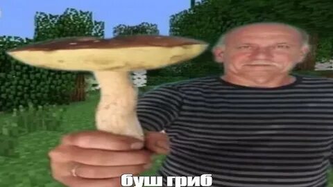 Грибы прикол видео