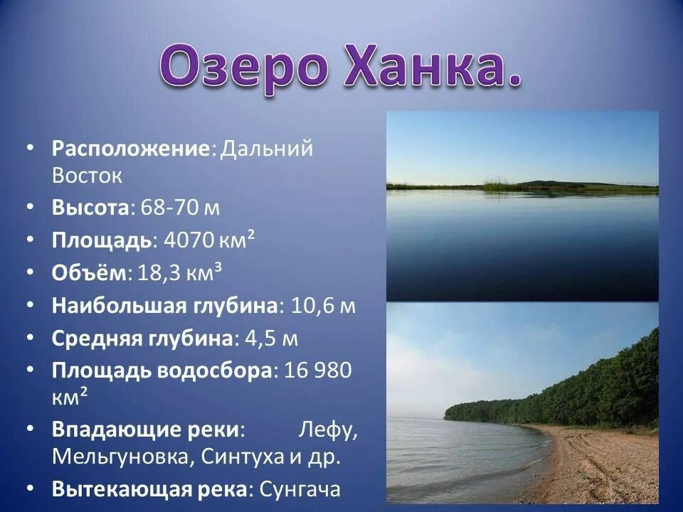 Озеро ханка Приморский край. Озеро ханка Дальний Восток. Озеро ханка сообщение. Обитатели озера ханка. Таблица описания озера