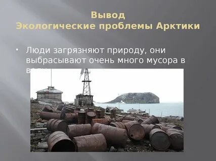 Экологические проблемы арктических