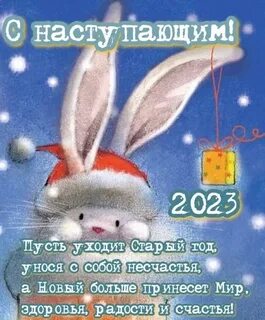 С наступившим новым 2023