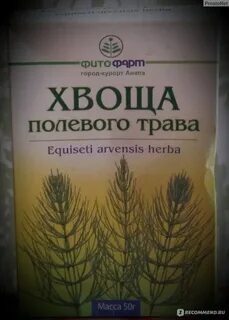 Отзывы полевая