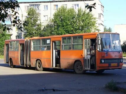 Бус кострома