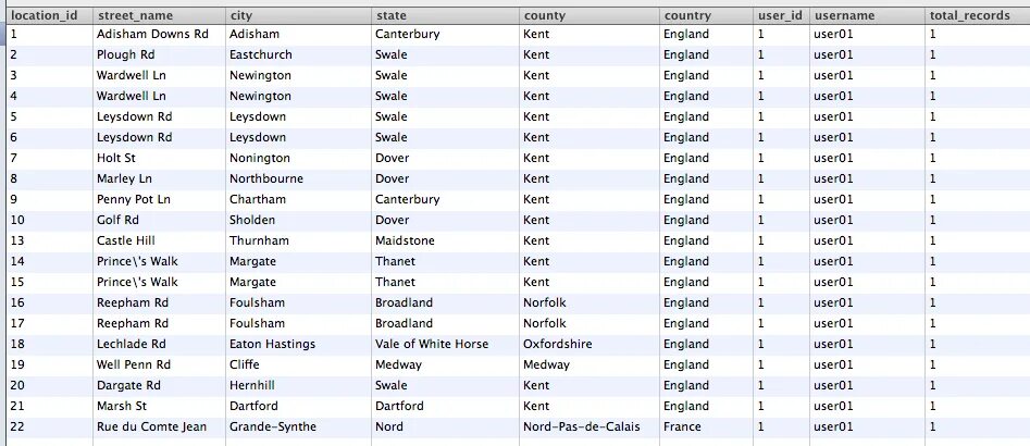 Duplicate column name