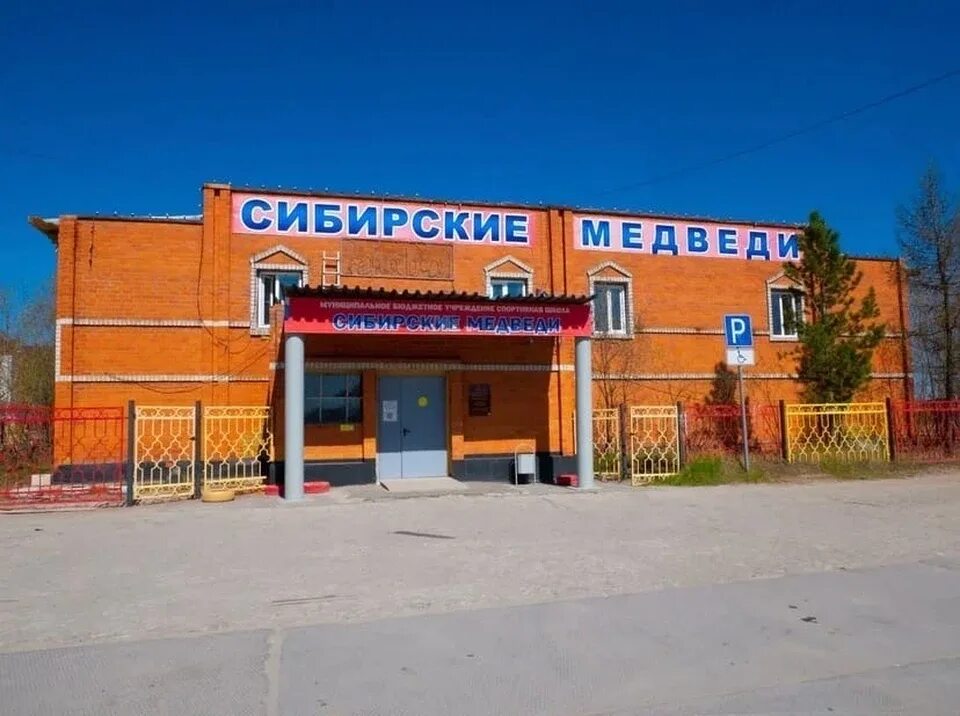 Сибирские медведи новый уренгой. Логотип новый сибирский медведь. Тхэквондо соревнования. Сибирский медведь иркутск. Сибирские медведи новый уренгой.
