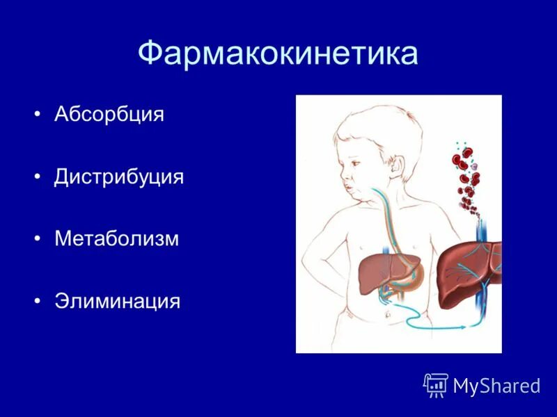 этапы фармакокинетики. фармакокинетика. фармакокинетика всасывание лекарственных веществ. фармакокинетика это в фармакологии. основные этапы фармакокинетики.