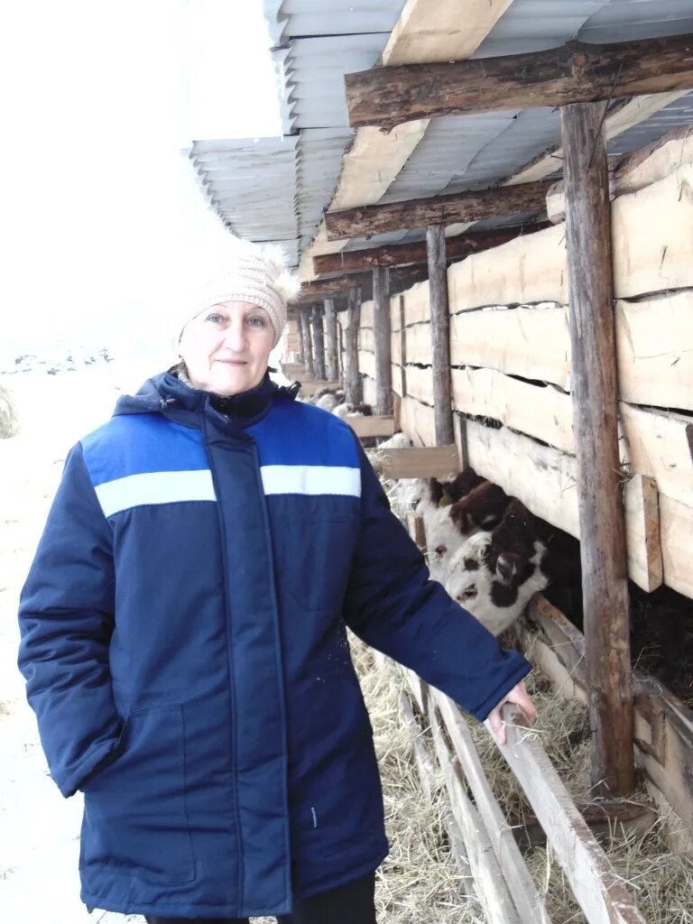 Зоотехник. Элеваторы саратовской области. Кфх ртищево. Ртищево фермера. Маняхин виктор иванович 1953.