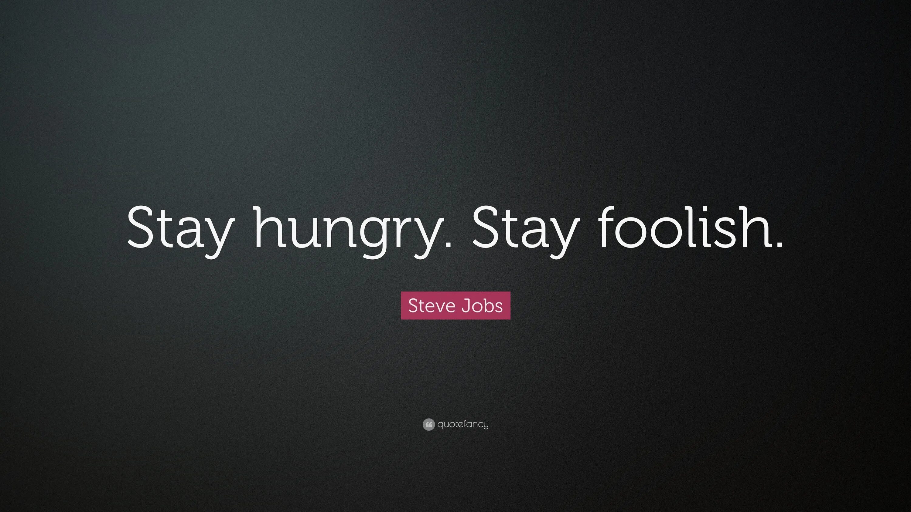 Как переводится hungry. Steve jobs stay hungry stay Foolish. Stay hungry stay Foolish перевод. Stay hungry stay Foolish обои. Foolish перевод.