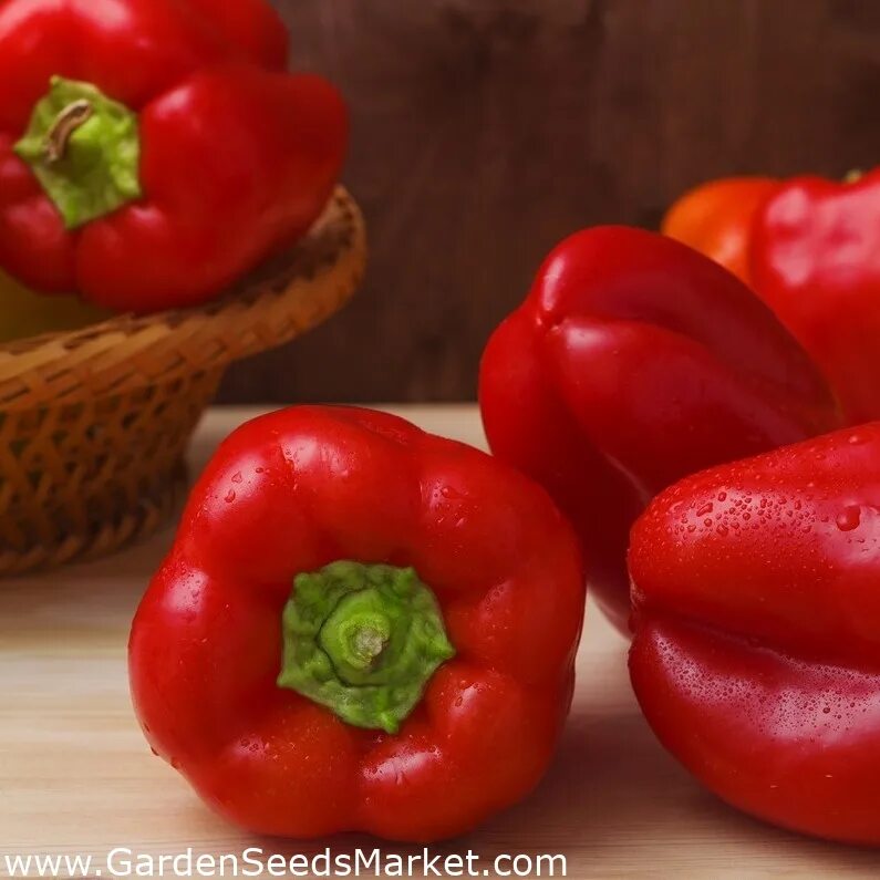 Перец садовое кольцо. Перец садовое кольцо отзывы. Перец сладкий ингрид. Дольчетто перец сады азии. Перец садовое кольцо описание.