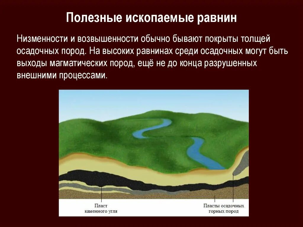 Какие полезные ископаемые в равнинах. Полезные ископаемые равнин. Осадочные полезные ископаемые. Равнинные полезные ископаемые. Какой вид полезных ископаемых добывают на равнинах.