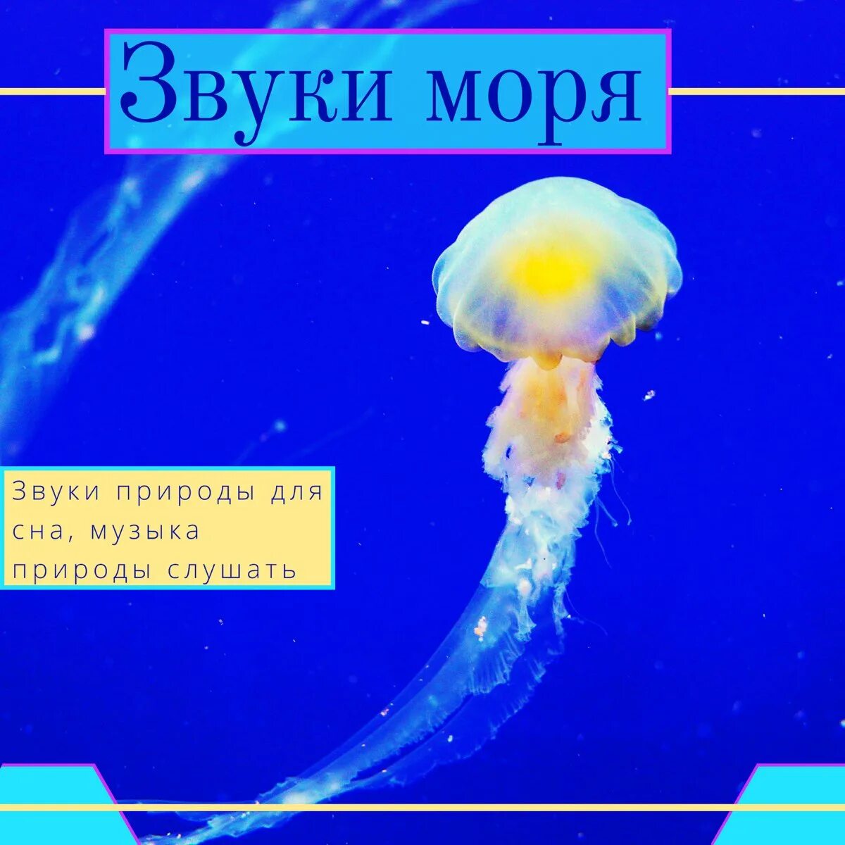 Шум моря для сна успокаивающая музыка слушать. Звуки природы для сна. Звук мо́ря. Морские звуки. Шум моря для сна.