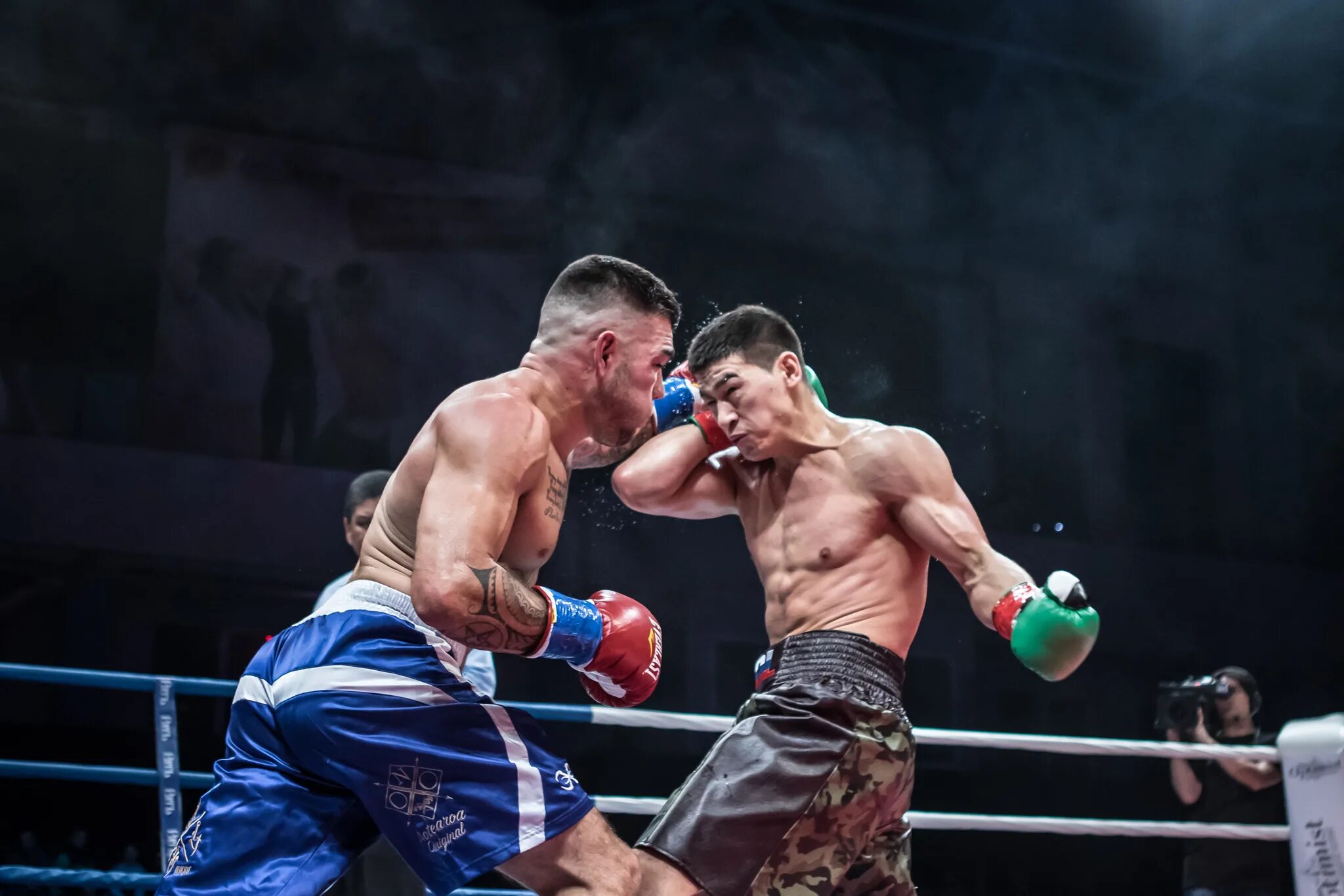 Wild card boxing. Бокс свежие видео. Бокс свежие видео. Вечер бокса. Чудинов боксер серпухов.