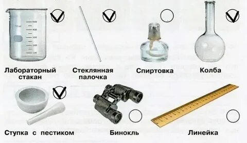 Для проведения эксперимента выданы склянки