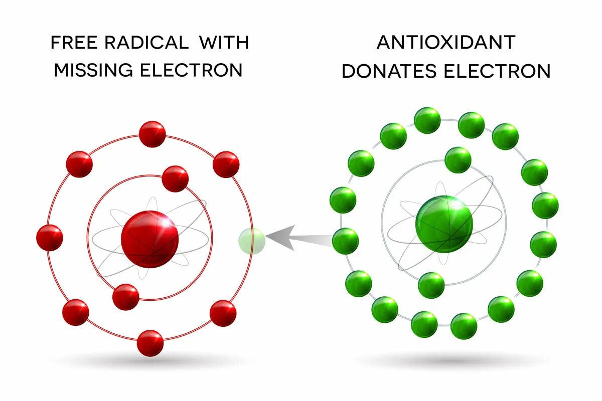Свободные радикалы и антиоксиданты в организме. Схема действия антиоксидантов. Механизм действия антиоксидантов на свободные радикалы. Кожей радикал