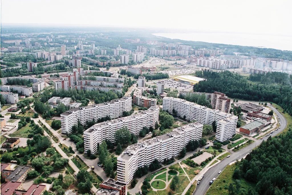 Численность сосново. Сосновый бор сосновый бор, ленинградская область. Численность сосново. Сосново ленинградская область вокзал. Численность сосново.