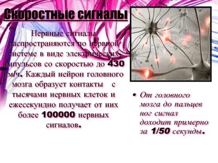 Нервный сигнал