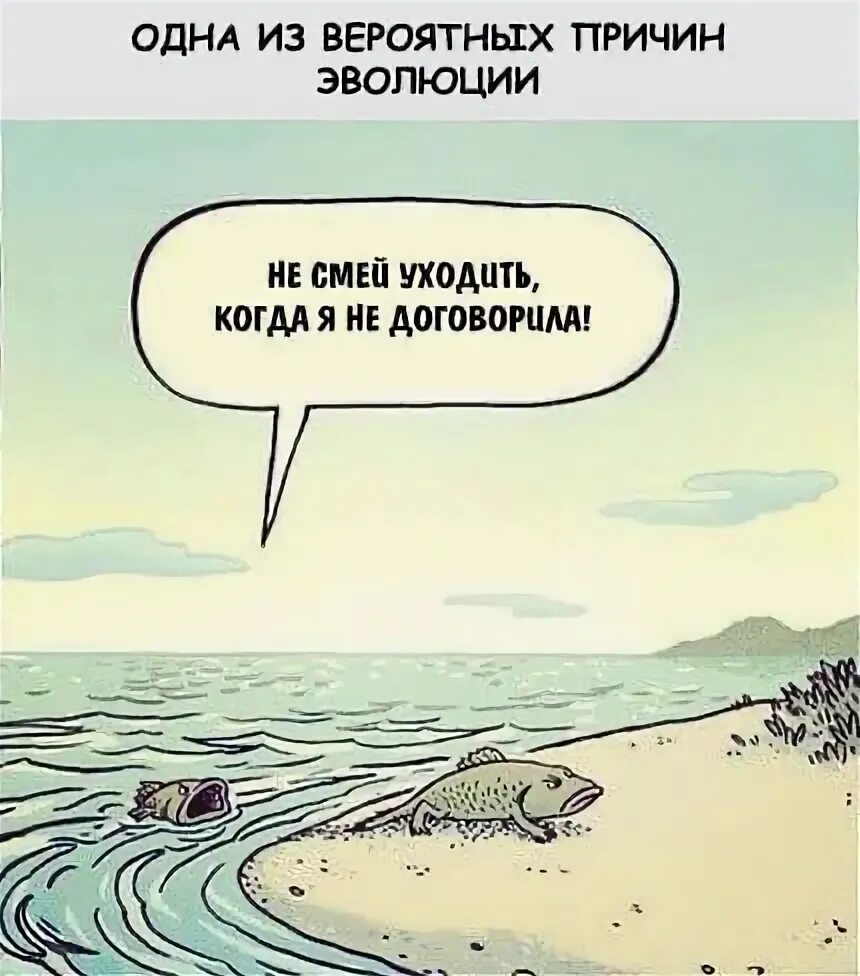 4 причины эволюции