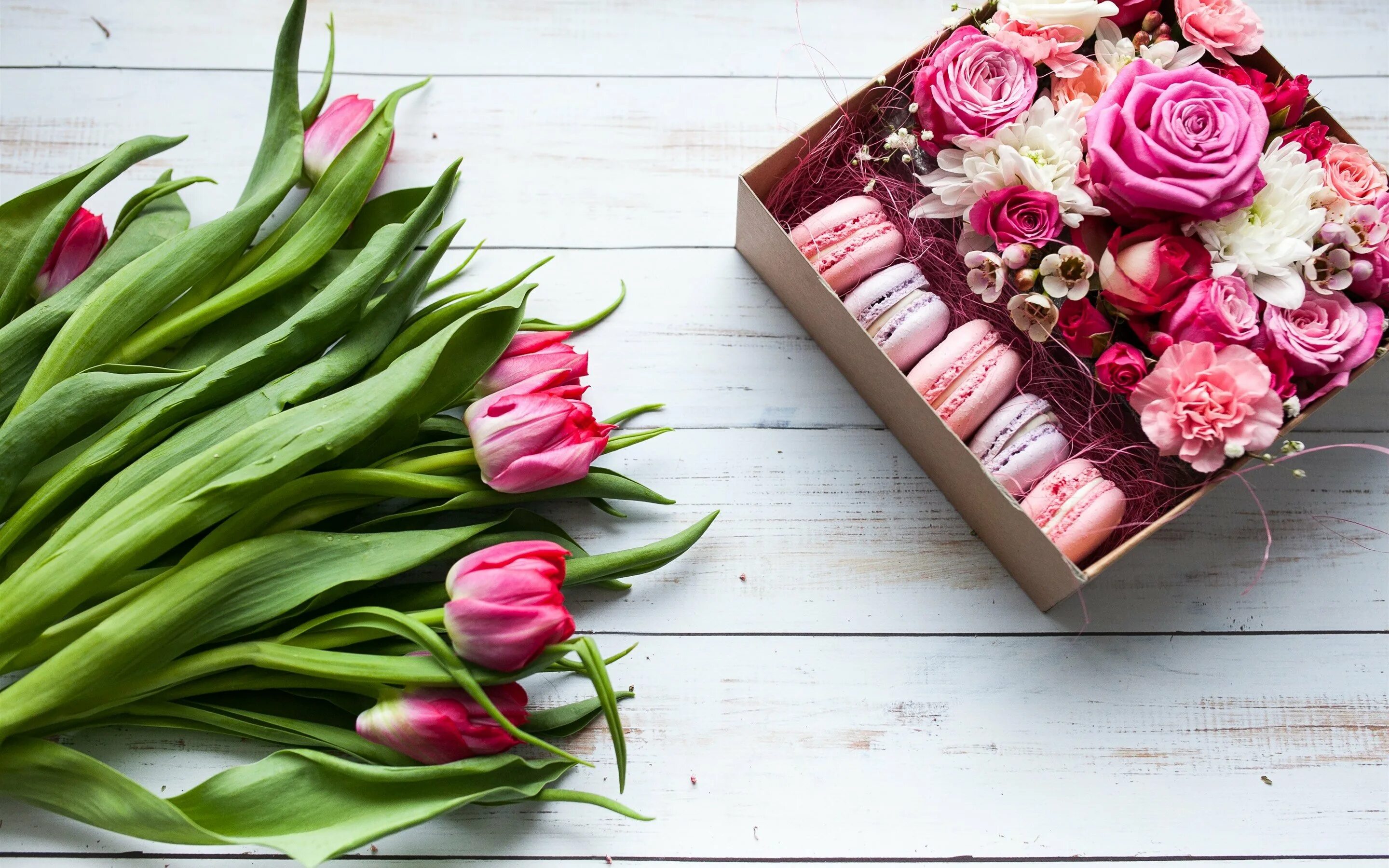 Тюльпаны стильные картинки. Стильные цветы. Стильный букет тюльпанов. Букет тюльпанов в коробке. Пионы и тюльпаны.