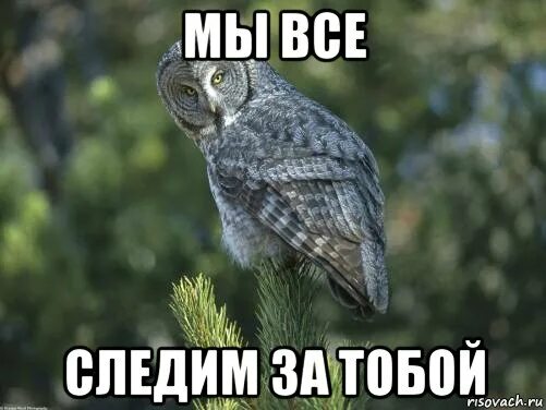 Где следишь
