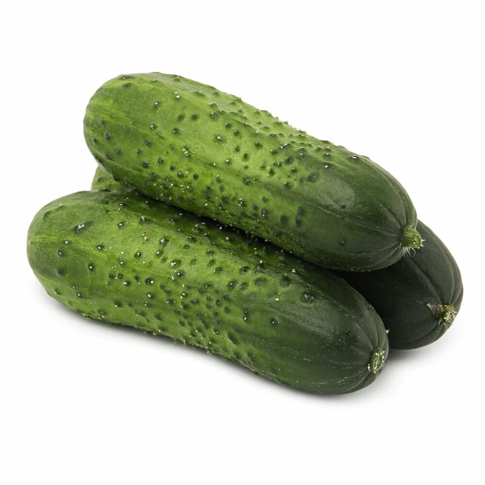 монастырская кухня малосольные огурцы. группа огурчики. торговый знак aclaha group огурцы. огурцы ясликовая группа. группа огурчики.