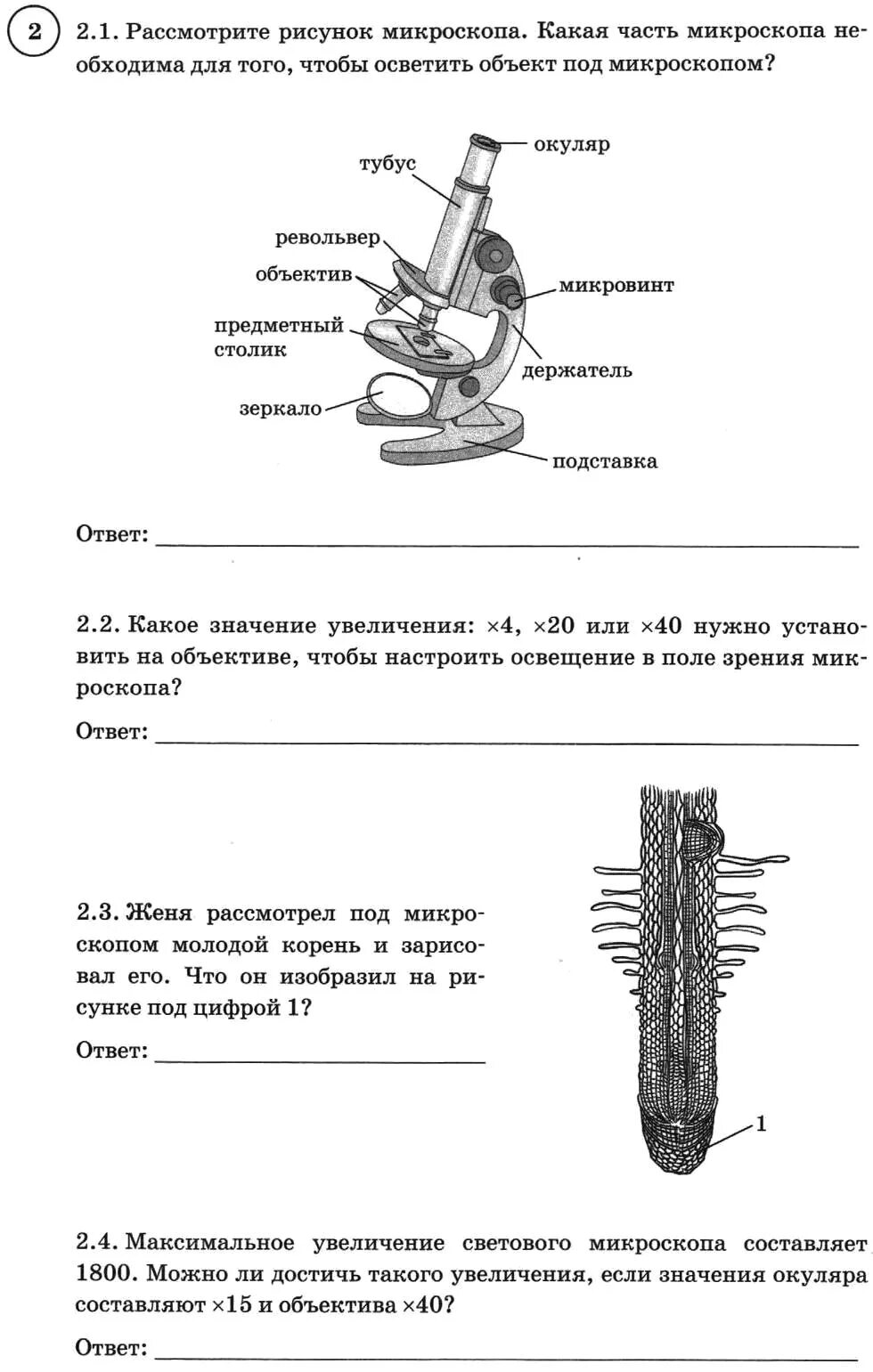 Впр по биологии 5 3 вариант. Впр по биологии 5 класс задания. впр по биологии за 6 класс. впр по биологии 6. материал для впр по биологии 6 класс.