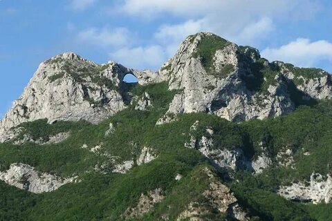 Monte parivision