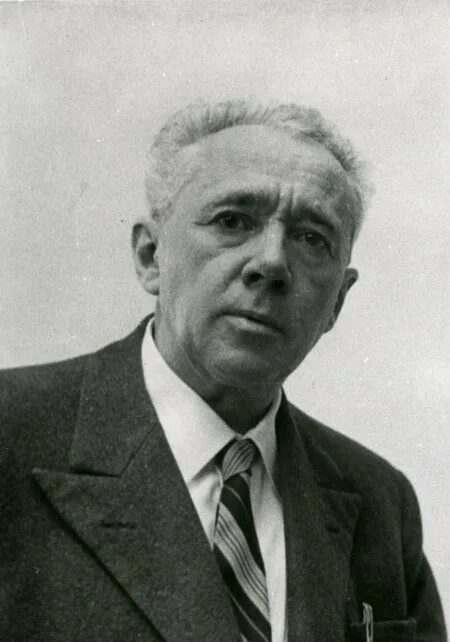 Авогадро портрет. Итальянский химик. Клетки животных феличе фонтана. Станислао канниццаро. Резников чинголани фото.