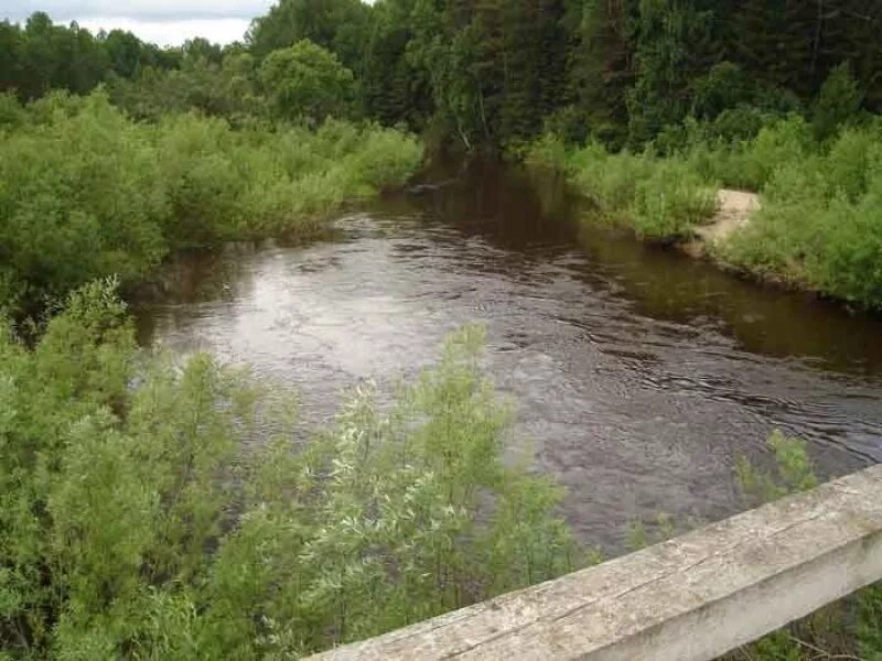 Погода в красноярском крае большеулуйском районе. Кандатский заказник Красноярского края. Поваренкино Красноярский край. Поваренкино Тюхтетского района. Деревня Поваренкино Тюхтетский район.