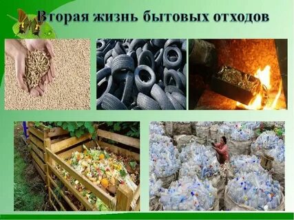 Вторая жизнь человека