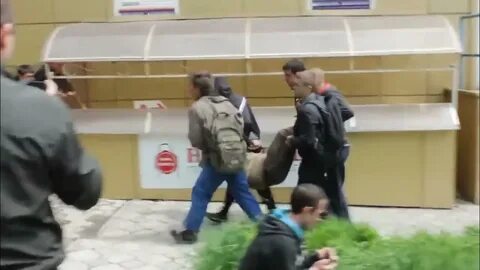 В волновахе расстреляли 9 человек