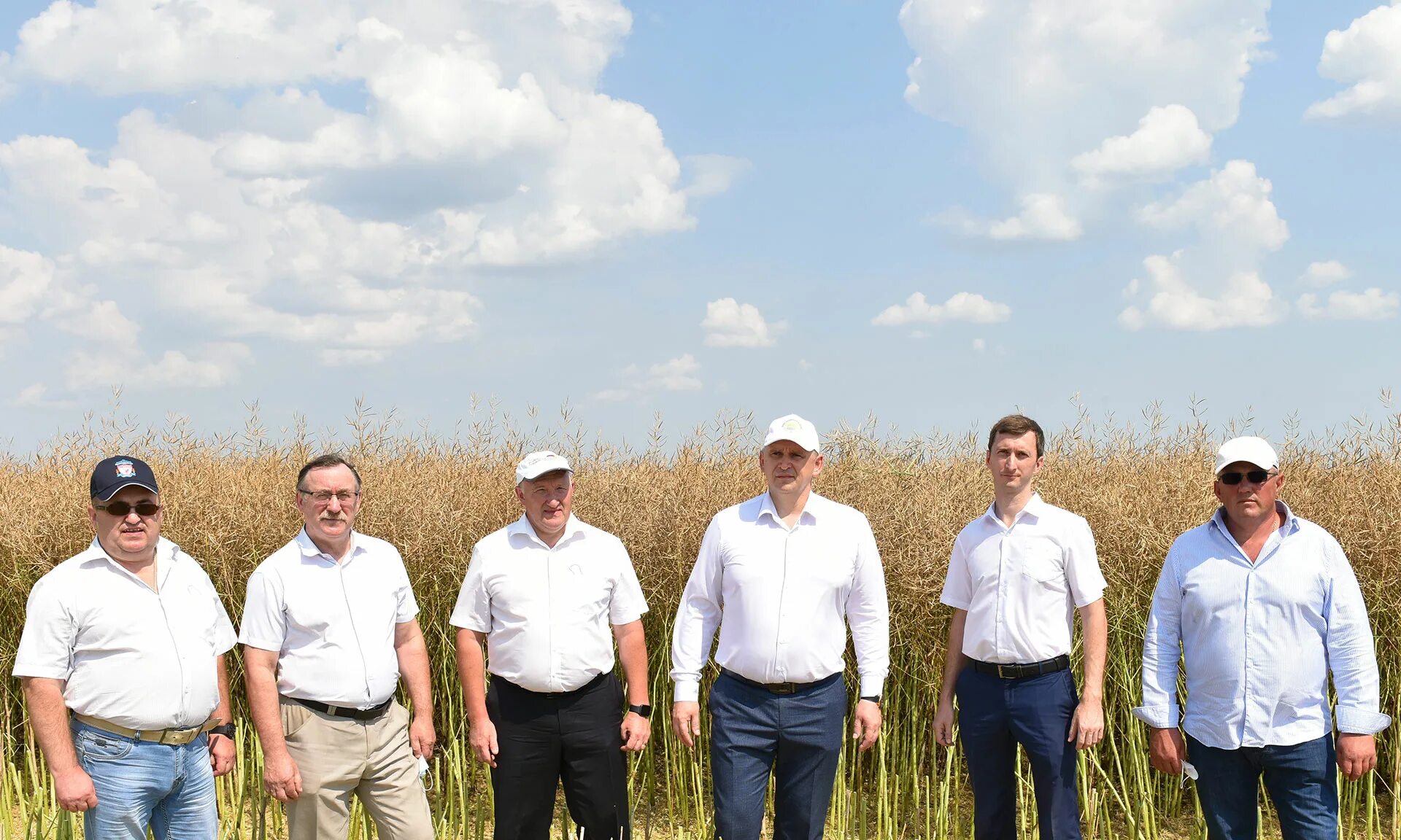 меленский картофель стародубский район. шаталов александр юрьевич меленский картофель. меленский картофель стародубский. меленский картофель стародубский район. меленский картофель трубчевск.