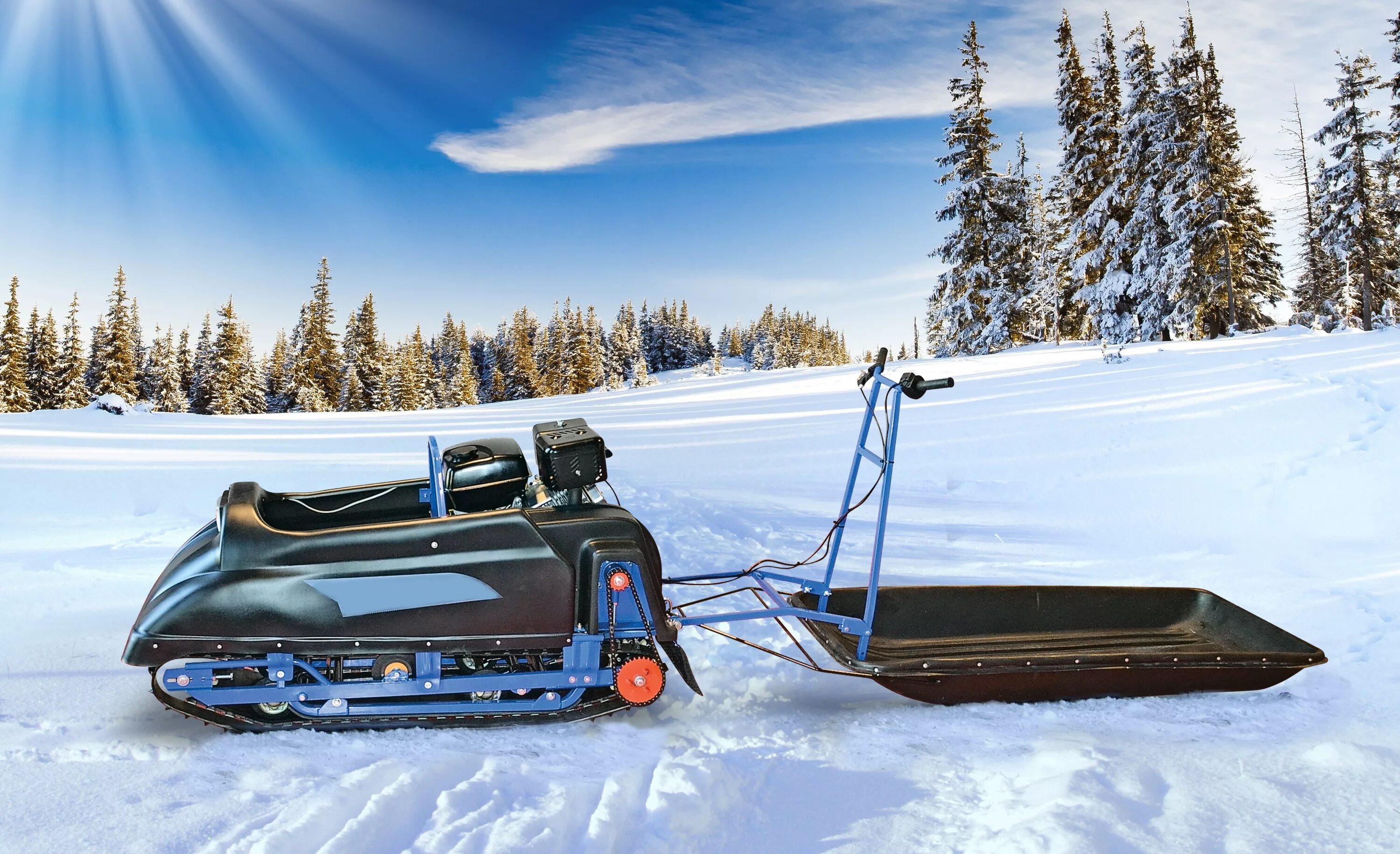 детский снегоход брп на бензине. электрический снегоход сани bobsla. детский снегоход ski doo mini. детская техника для зимы. мотосани термит.