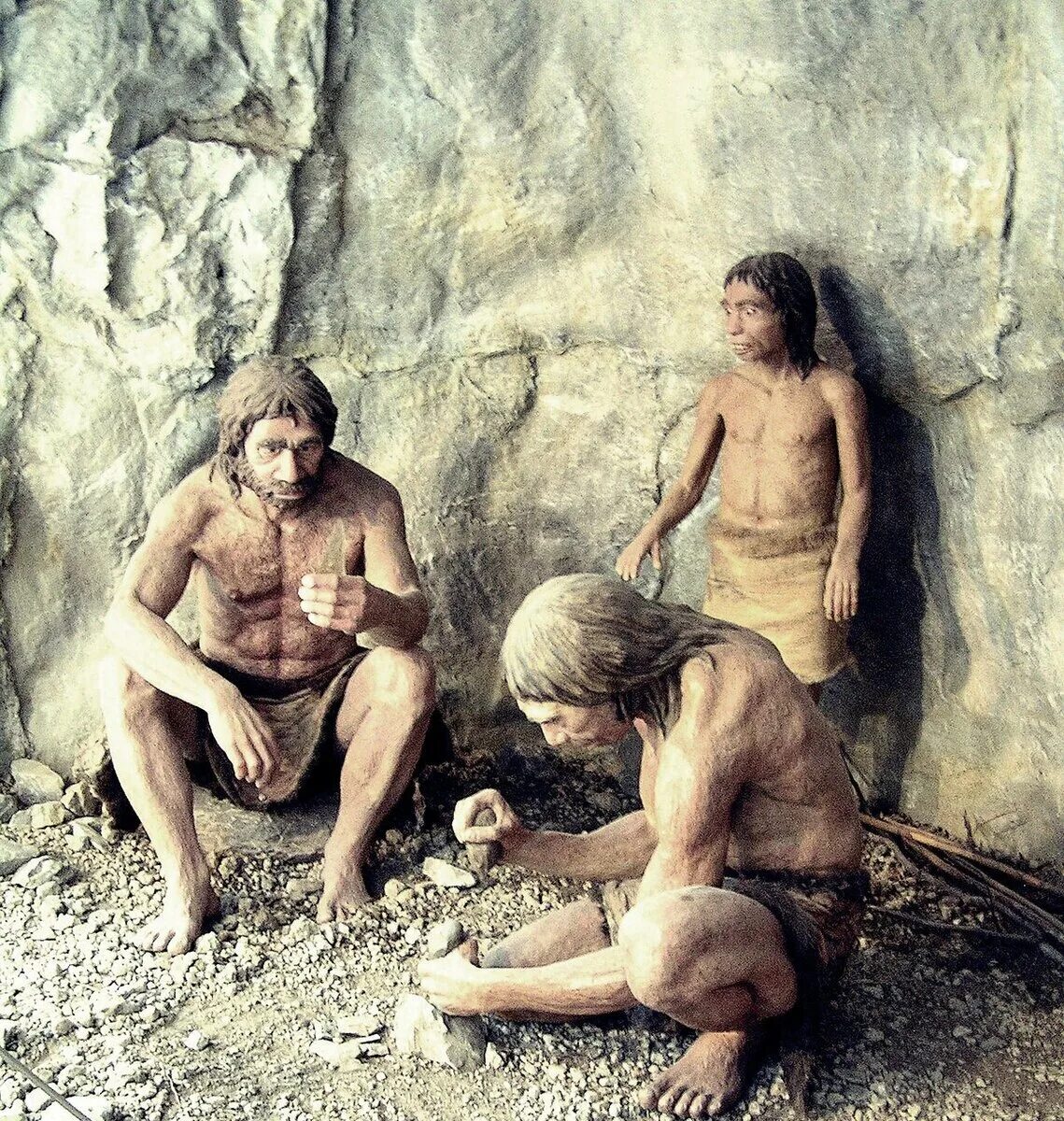 Как жили в первом веке. Гомосапиенс и неандерталец. Homo Heidelbergensis Азии (денисовцы). Семья хомо сапиенс. Древние люди.
