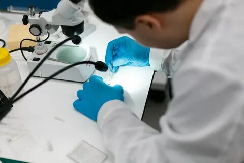 Во время эксперимента ученый измерял