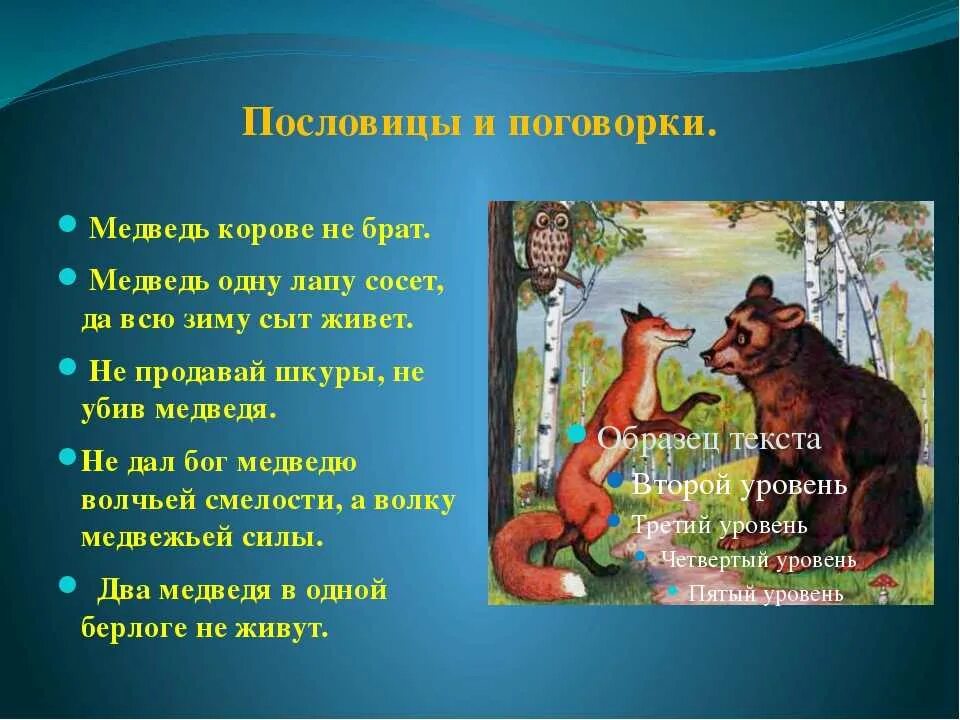 Пословицы о животных. Поговорки о животных. поговорки про медведя. пословицы про зверей.